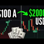 Aprende a operar Forex con $100 y crece tu cuenta